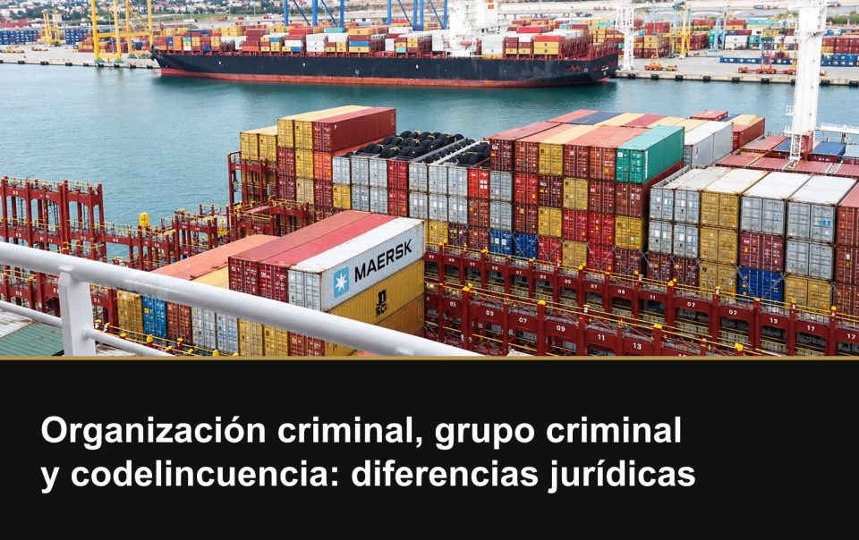 Organización criminal, grupo criminal y codelincuencia: diferencias jurídicas